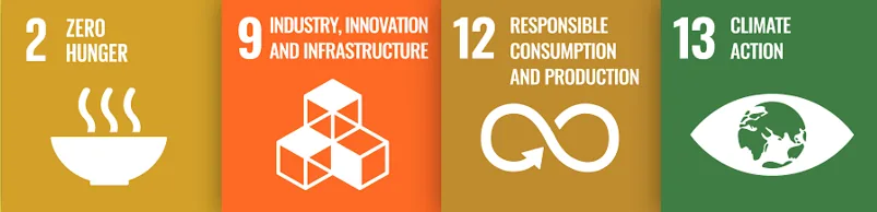 UN Sustainable Development Goals
